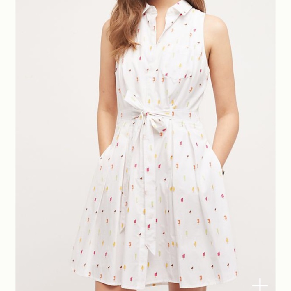 Anthropologie Paleta Shirtdress
